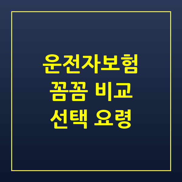 운전자보험 비교 핵심 보장과 현명한 선택 요령